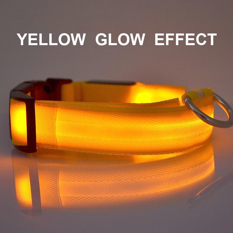 Premium Glow-In-The-Dark LED Safety Collar