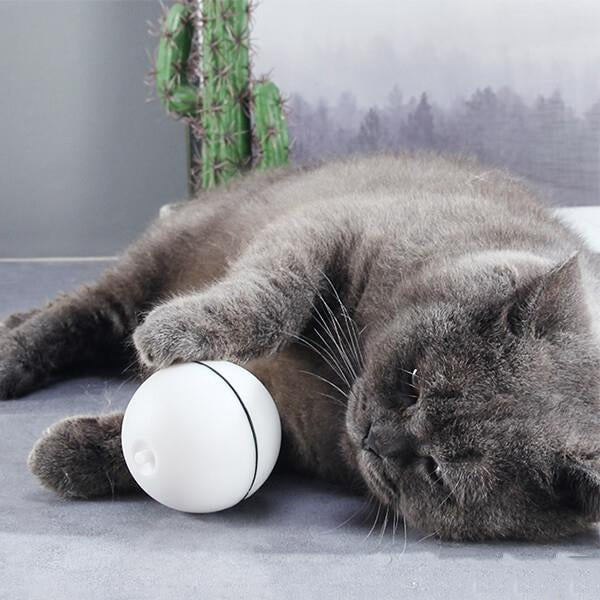 Magic Cat LED Ball